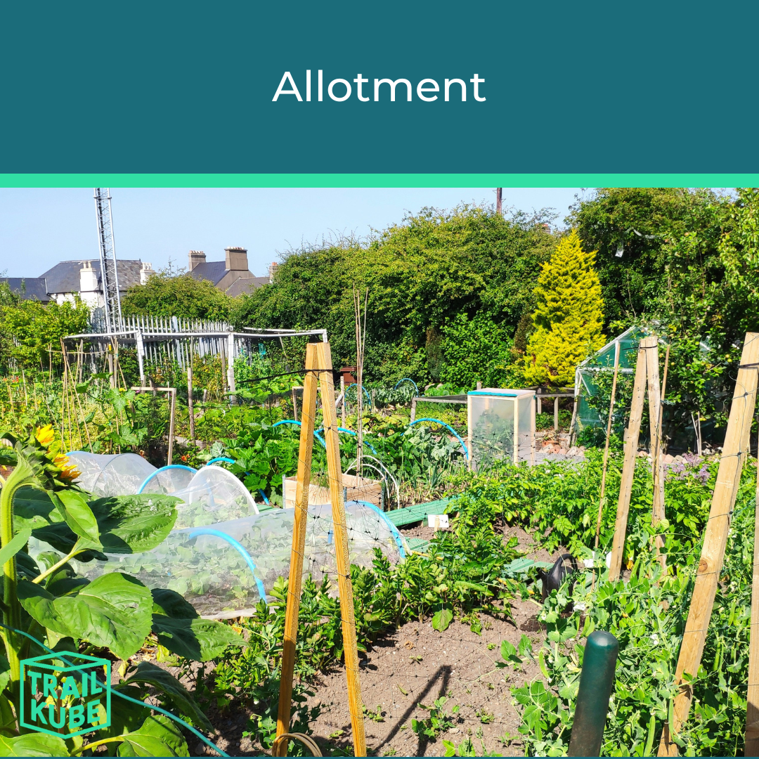 Allotment Tile
