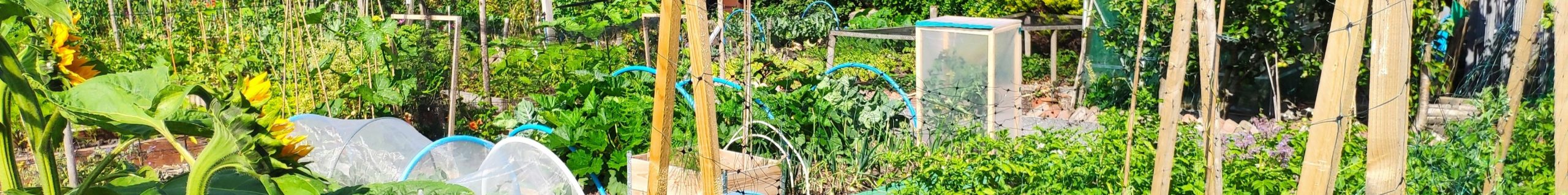 Allotment header
