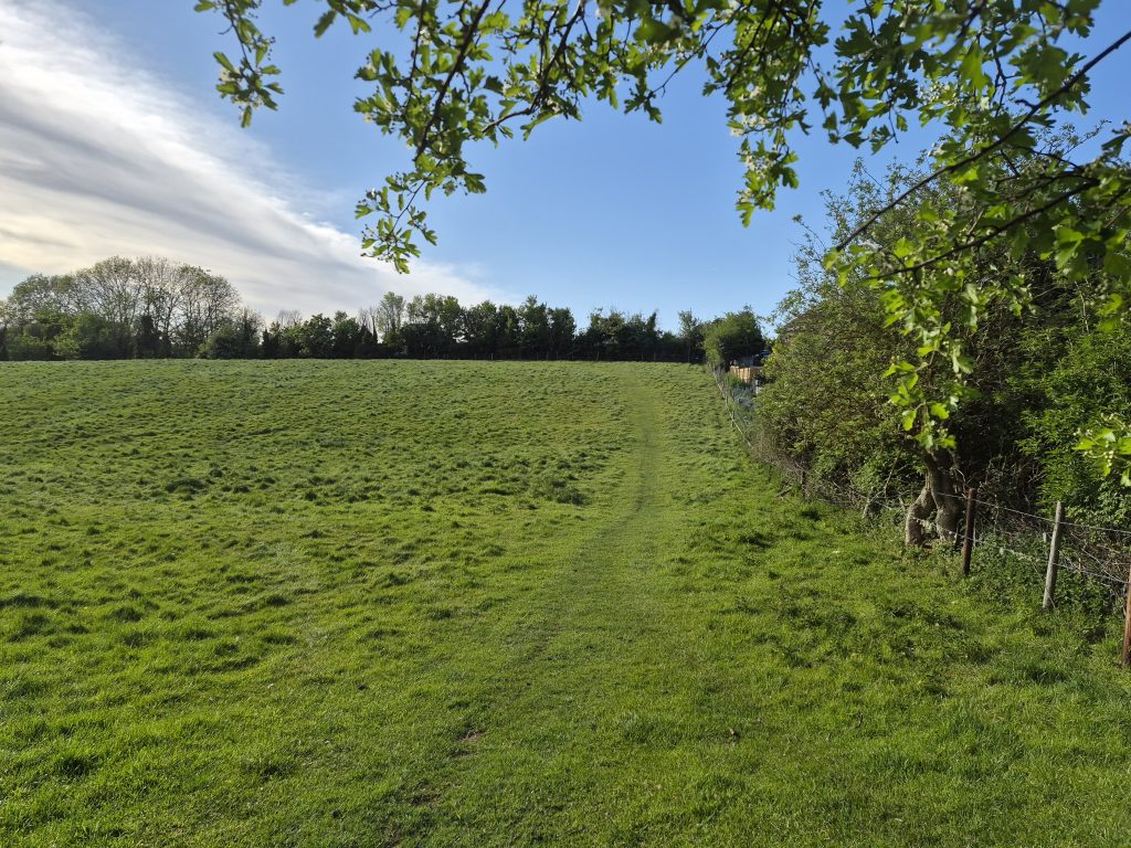Local Views